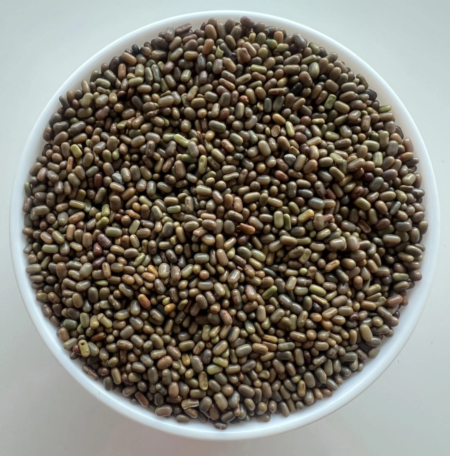 Sesbania Seeds
