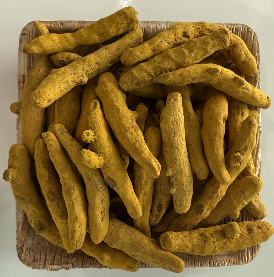 Turmeric Finger -  Japan
