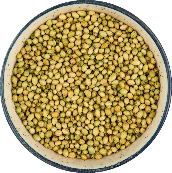 Coriander Seeds - Double Parrot