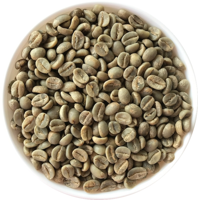 Arabica Plantation A
