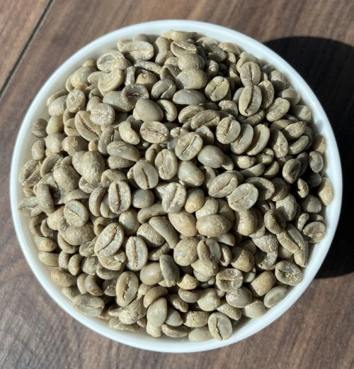 Arabica Plantation A