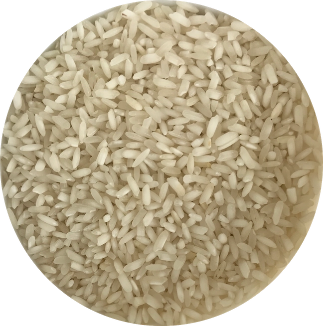 Rice - IR 8 Raw White