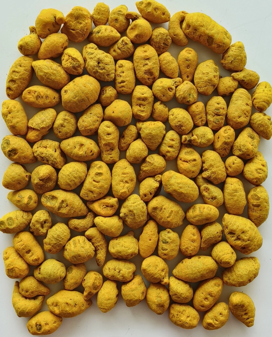 TURMERIC FINGER - BULB