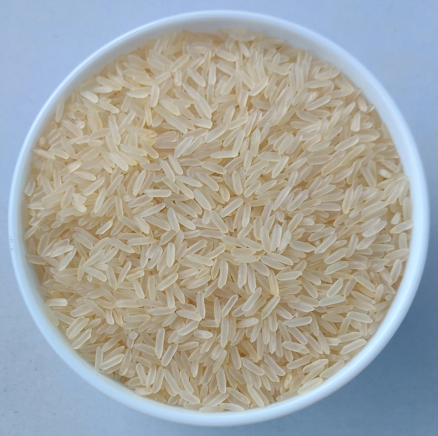 RICE - PR 11 SELLA CREAM