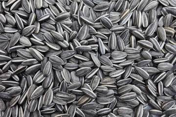 Sunflower Seeds