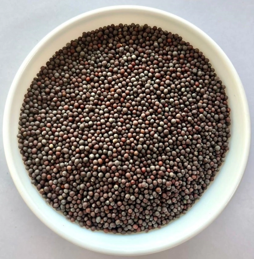 Mustard Seeds - Brown