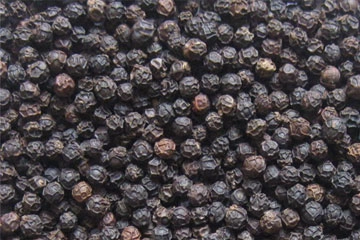 Black Pepper - TGEB