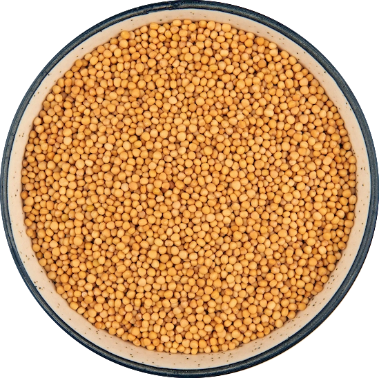 Mustard Seeds - Yellow