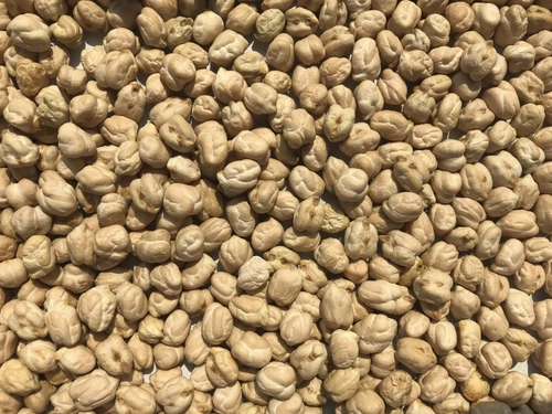 Chick Peas - 12mm