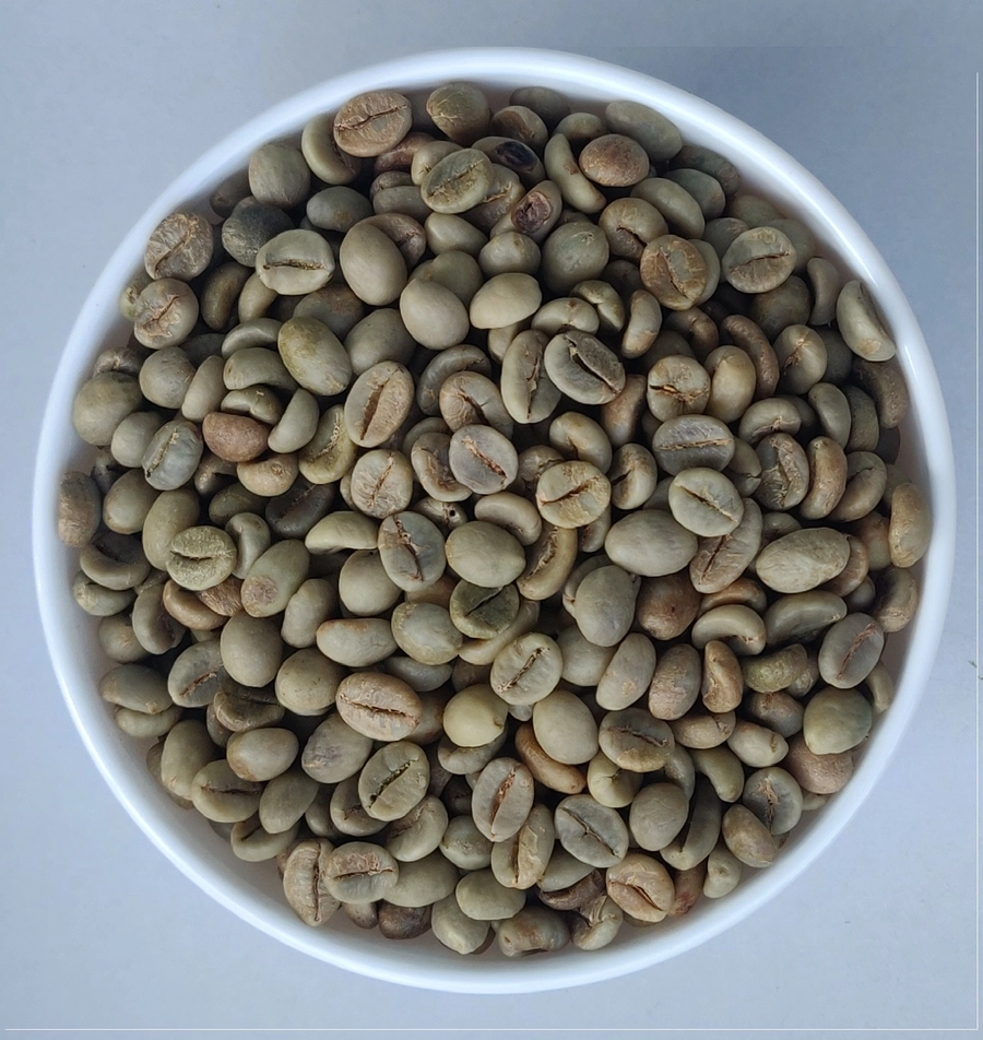 Arabica Plantation C