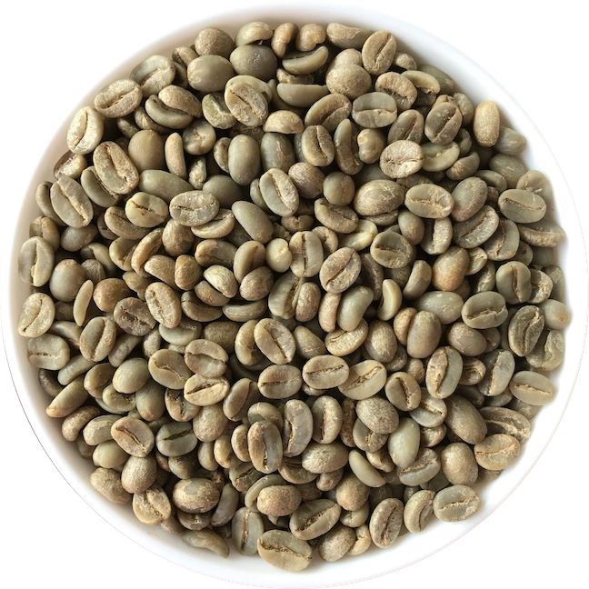 Arabica Plantation B