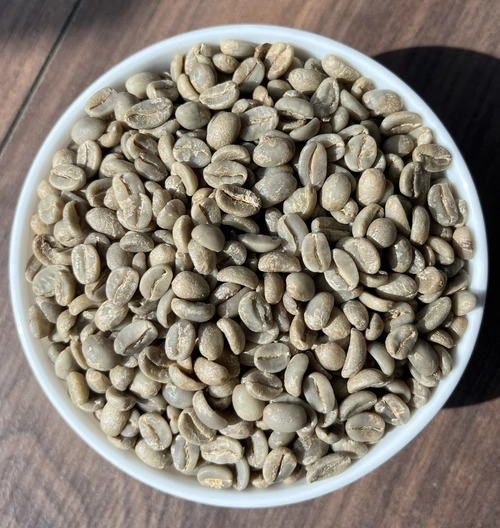 Arabica Plantation B