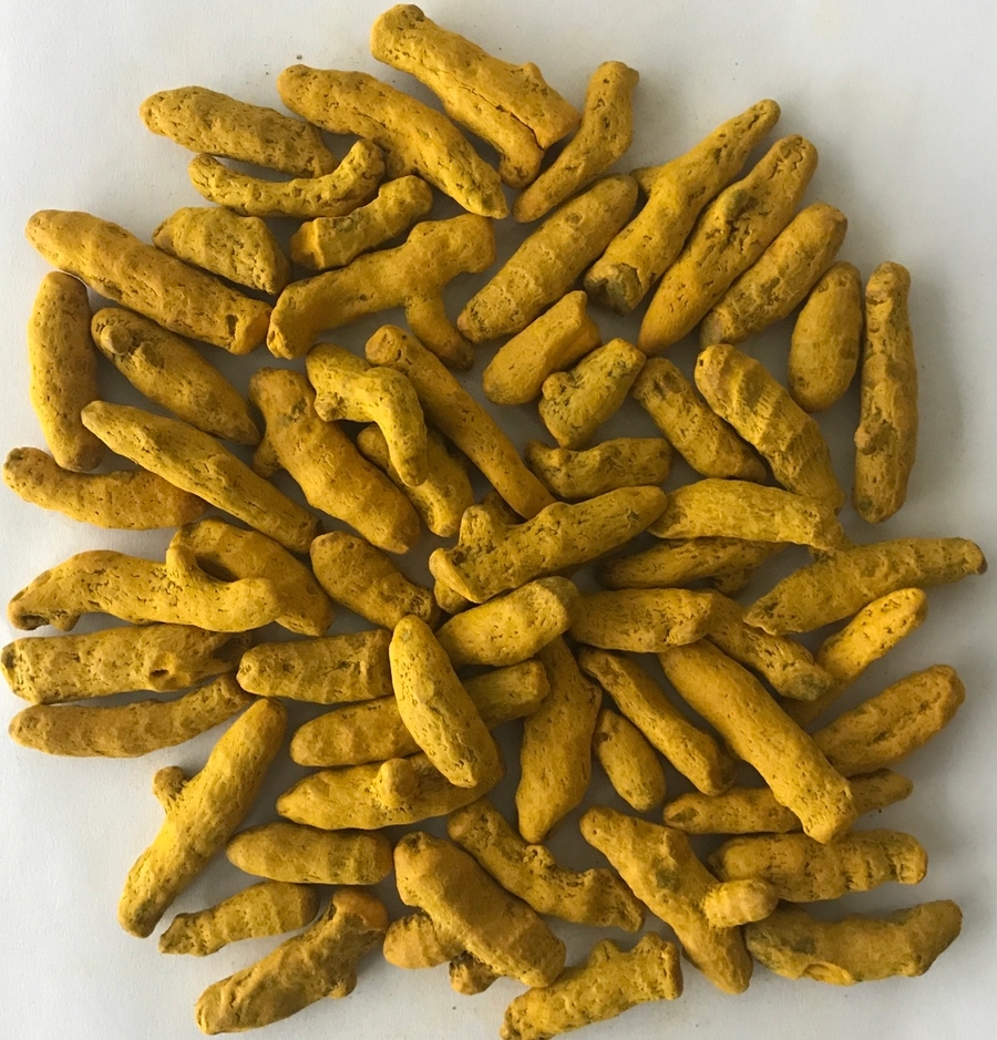 Turmeric Finger - Dubai
